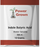 IBA Indole-3-butyric acid Indole butyric acid 98% 10g Water soluable PGR TC 