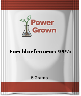 Forchlorfenuron CPPU 99% 10 grams free shipping 