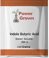 Indole Butyric Acid 100g